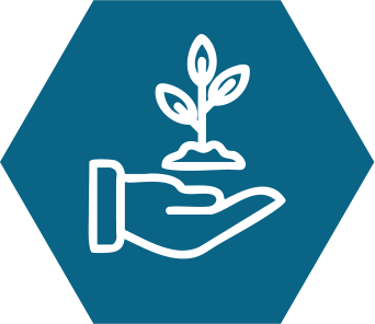 Enviromental Sustainability